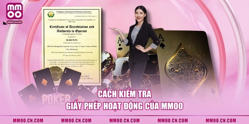 Cách kiểm tra giấy phép hoạt động của MMOO